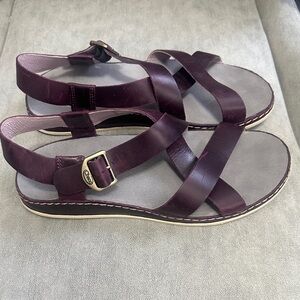 Chaco Dark Burgundy Sandals
